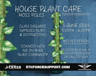 House Plant Care: Moss Poles