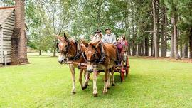 Bentonville's Fall Festival