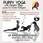 Puppy Yoga Event