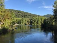 Walk the Blackbird Island Trail (Leavenworth)