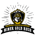 PRA Miner Gold Rush