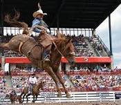 Black Canyon Stock Show & Rodeo