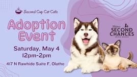 Adoption Event at Second Cup Cat Cafe