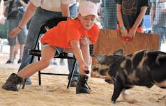 Ossipee Valley Fair