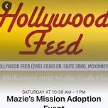 Mazies Mission Adoption Event