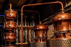 THE SCIENCE OF GIN