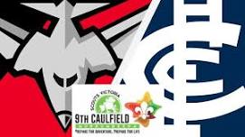 AFL Essendon vs Carlton (9th June)