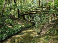 Nature for Wellbeing audio experience - Tōtara Park, Manurewa