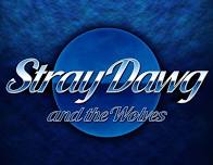 STRAY DAWG AND THE WOLVES - LIVE BLUES MUSIC AT HARLEY-DAVIDSON ALAMO CITY IN SAN ANTONIO, TX