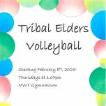 Elders Volleyball  — Mashpee Wampanoag Tribe