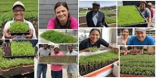 Kellogg Microgreens Class