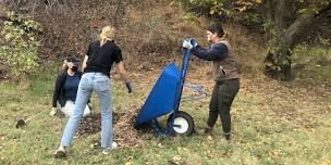 Plant Care Frenzy at Lake Solano Campsite