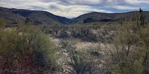 Dusty Trails and Desert Tales: The Big Shipp Canyon Excursion Tickets, Sat, Apr 6, 2024 at 7:00 AM Eventbrite