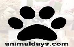 Animal Days 2024