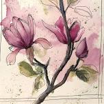 Loose Magnolias with Watercolor and Ink