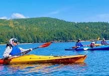 Half Day Kayak Tour & Picnic