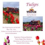 Trueman Blueberry Farms Tulip Festival