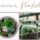 Terrarium Workshop @ Knowle Village Hall