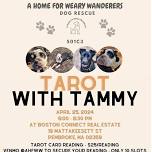 Tarot With Tammy