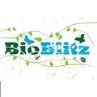 BioBlitz at Reinstein Woods