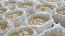 Cheese Making with Miriam Rees