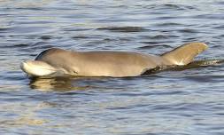 Cumberland Island Boat Tour