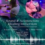 Sound & Acupuncture Immersion