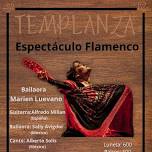 Templanza – Espectáculo Flamenco