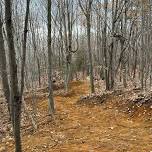 Opening Day Celebration: MTB Trail Work and Ride at the Bethel Community Forest