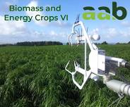 Biomass and Energy Crops VI