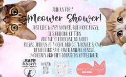 Kittens Galore: Meower Shower