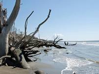 Paddle to Capers Island 