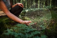 Finding Presence: Exploring the Labyrinth Through Nature. A Veriditas Approved Qualifying Workshop with Christine and Nathan Wiles