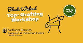 Black Walnut Top-Grafting Workshop