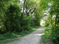 Nature Stroll at Veterans Park