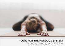 Yoga for the Nervous System Workshop