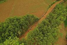 Cuc Phuong Jungle Paths