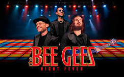 The Bee Gees: Night Fever