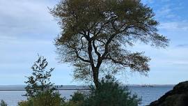 Father's Day Walk On The Henry Hudson Trail