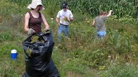 Shortline Railroad Prairie Workday