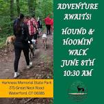 Hound Hike in Waterford