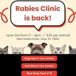 Rabies Clinic