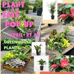 GREENHOUSE plant sale POP UP Saturday April 27th