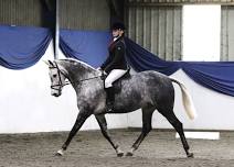 August Unaffiliated Dressage