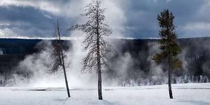 Winter in Yellowstone Photo Workshop