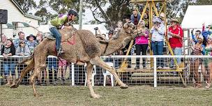 Tara Festival of Culture & Camel Races