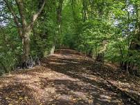 Bike Ride - Dunham Massey to Wigg Island, Runcorn and return via canal towpaths.