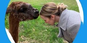 YOGA WITH ALPACAS