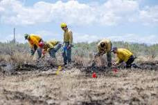 Wildland Fire Investigation Course