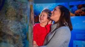 Mother's Day - Free Aquarium Admission!